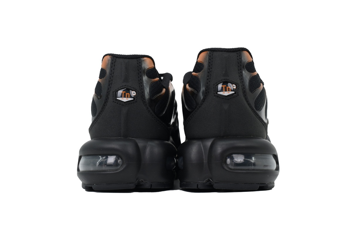 Air Max Plus 'Dark Obsidian Monarch' FN6949-400