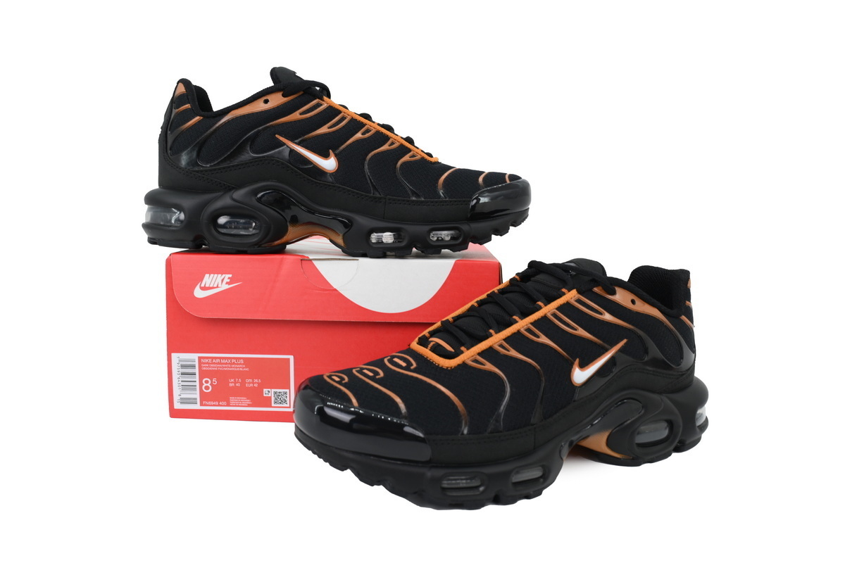 Air Max Plus 'Dark Obsidian Monarch' FN6949-400
