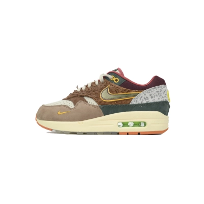 Division Street x Nike Air Max 1 Luxe “Oregon Ducks” HQ2639-100 01