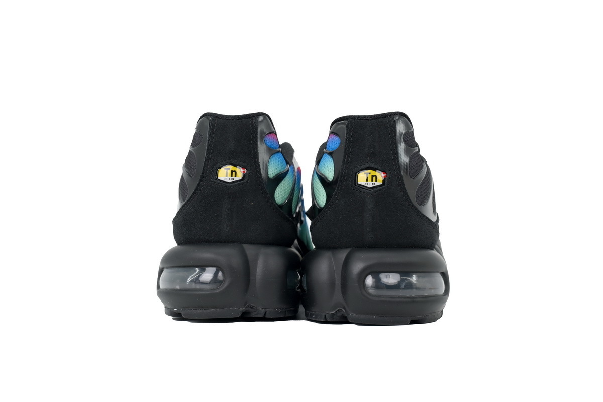 Nike Air Max Plus 'Unity' DZ4509-001