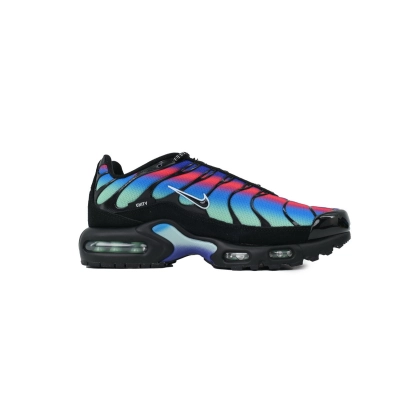 Nike Air Max Plus 'Unity' DZ4509-001 02