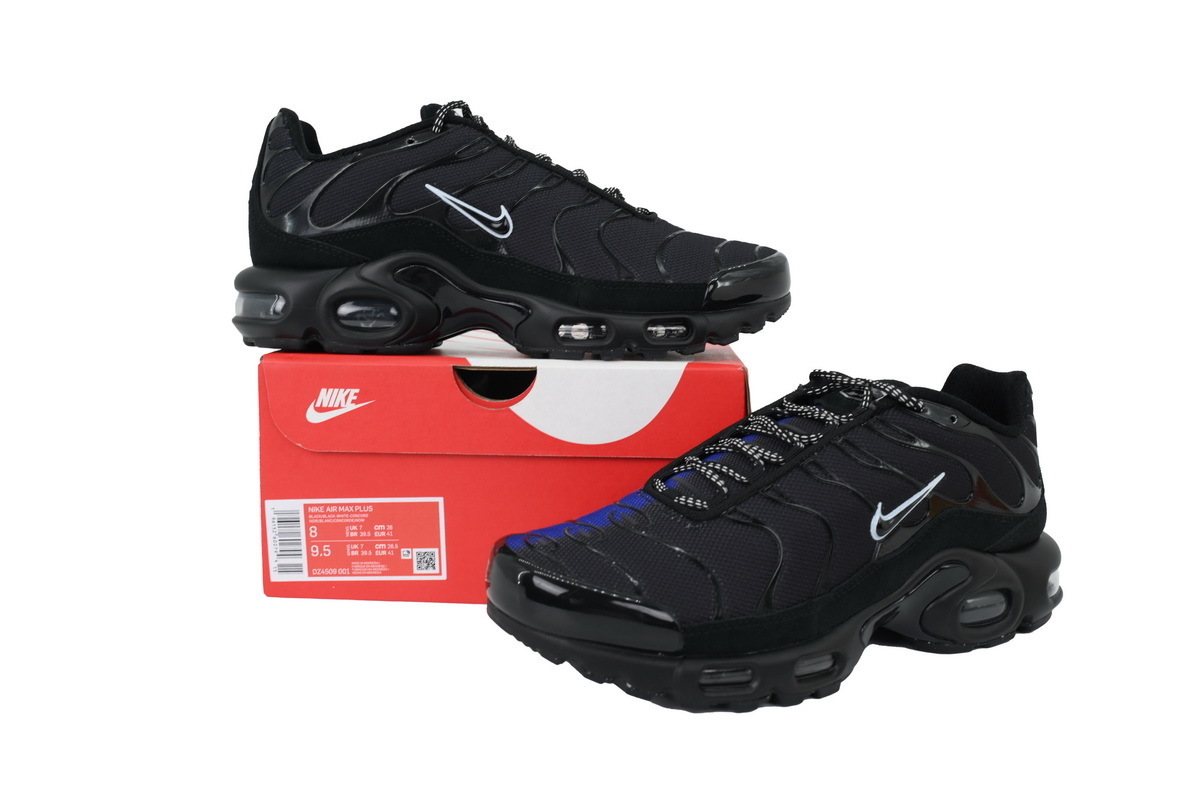 Nike Air Max Plus 'Unity' DZ4509-001