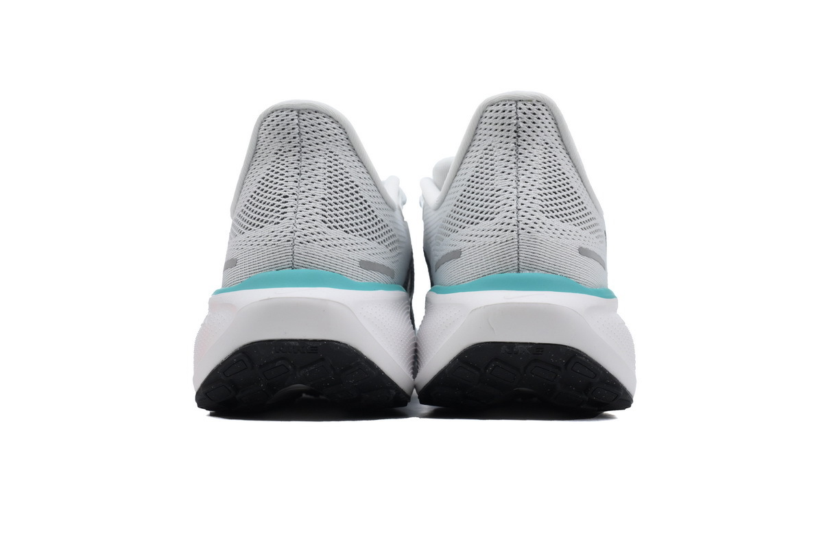 Air Zoom Pegasus 41 'White Dusty Cactus' FD2722-103