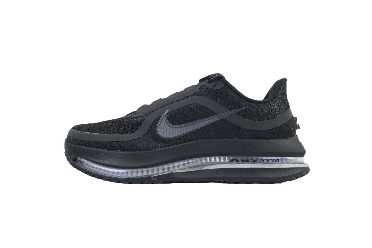 Air Zoom Pegasus Premium 'Black Metallic Silver' HQ2592-005