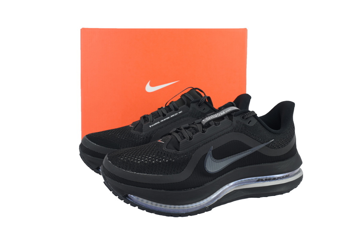 Air Zoom Pegasus Premium 'Black Metallic Silver' HQ2592-005
