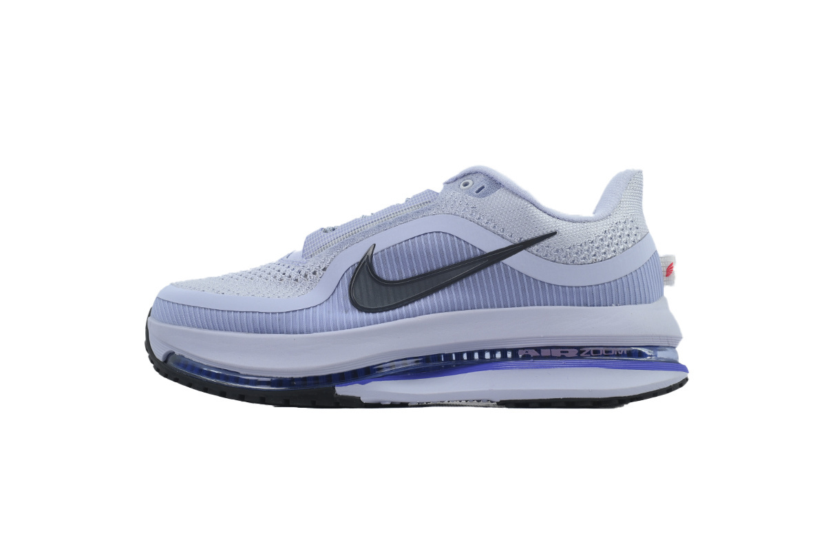 Air Zoom Pegasus Premium 'Persian Violet' HQ2592-004