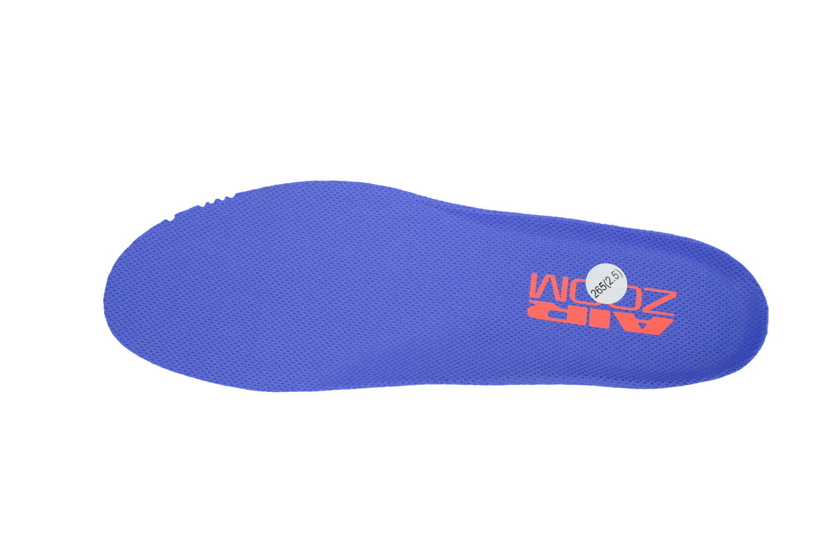 Air Zoom Pegasus Premium 'Persian Violet' HQ2592-004