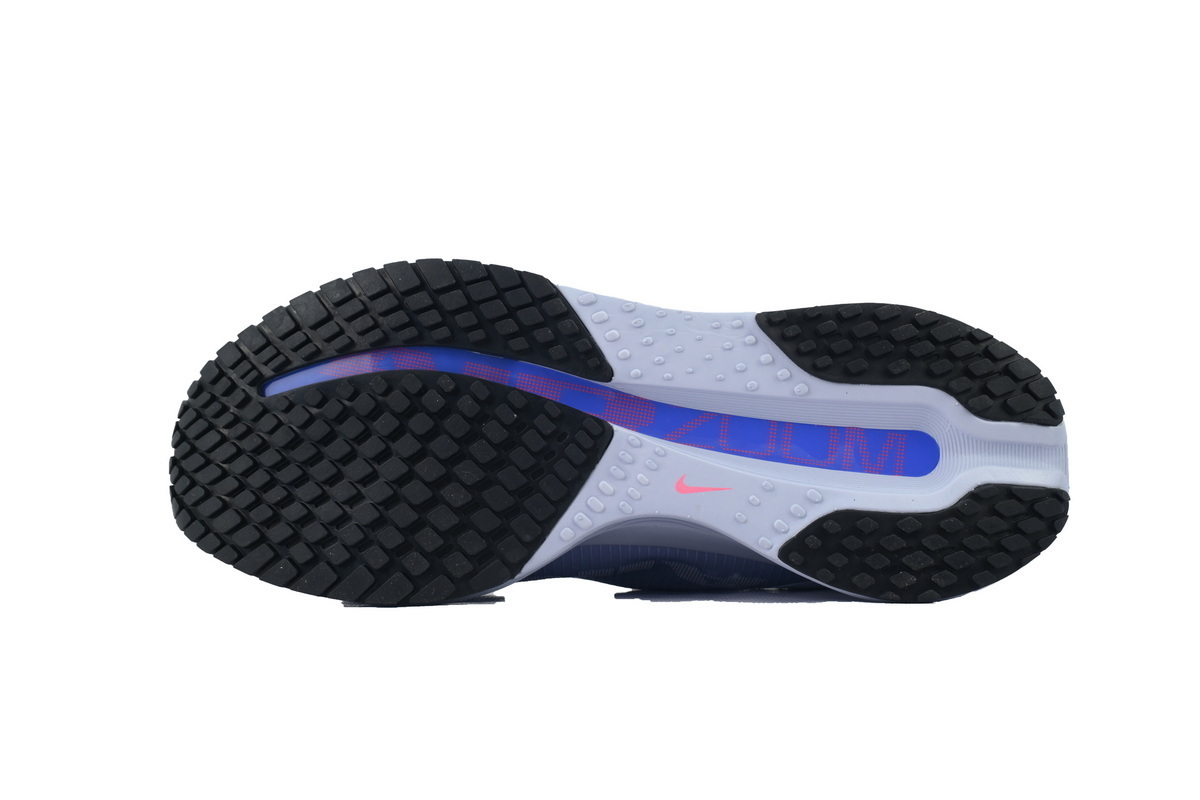 Air Zoom Pegasus Premium 'Persian Violet' HQ2592-004