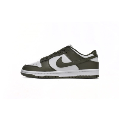 Nike Dunk Low Medium Olive DD1503-120 01