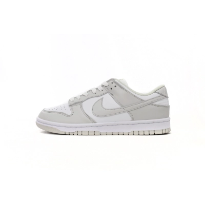 Nike Dunk Low Photon Dust DD1503-103 01