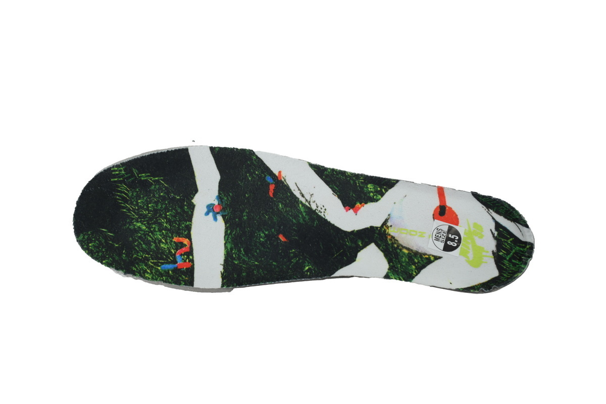 Nike Dunk Low SB 'Mummy' DM0774-111
