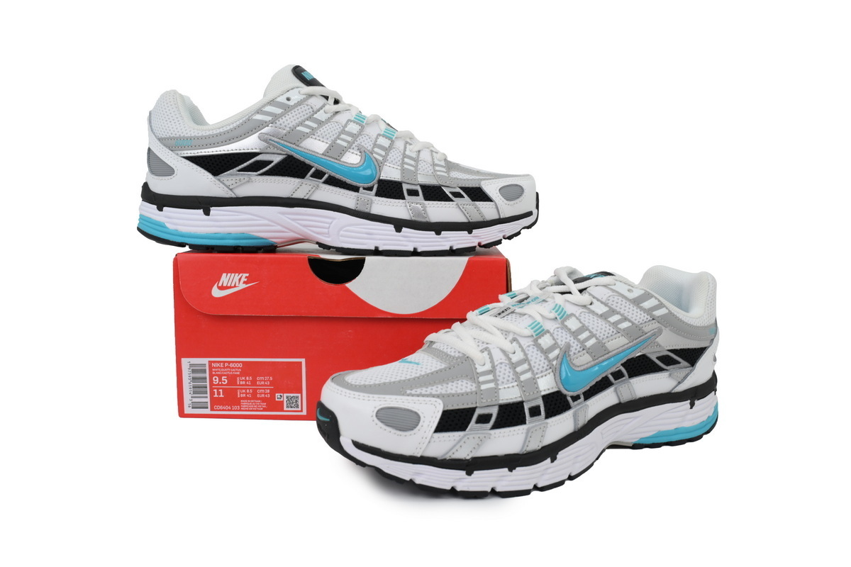 Nike P-6000 'Dusty Cactus' CD6404-103