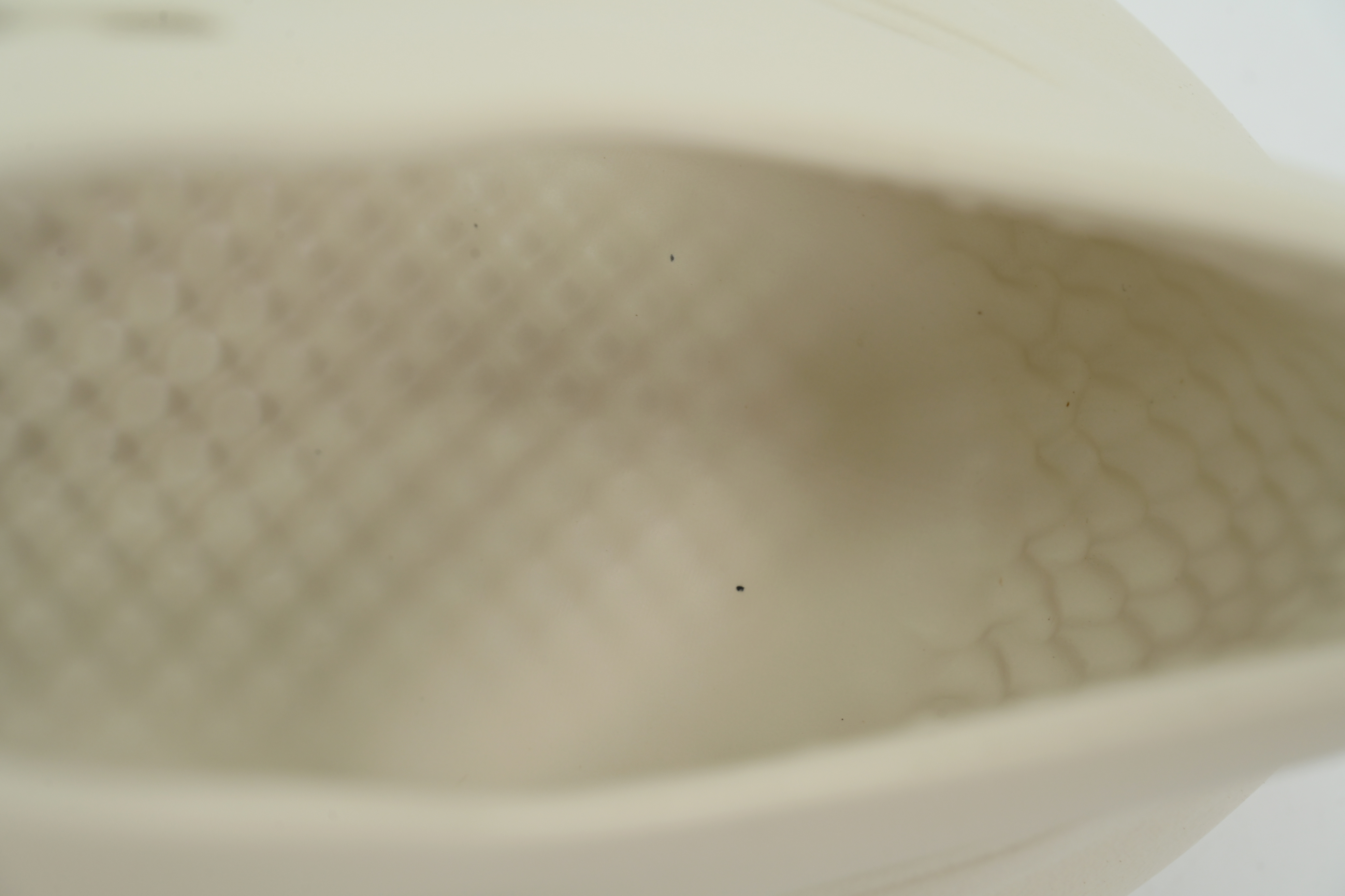 adidas Yeezy Foam Runner Sand FY4567