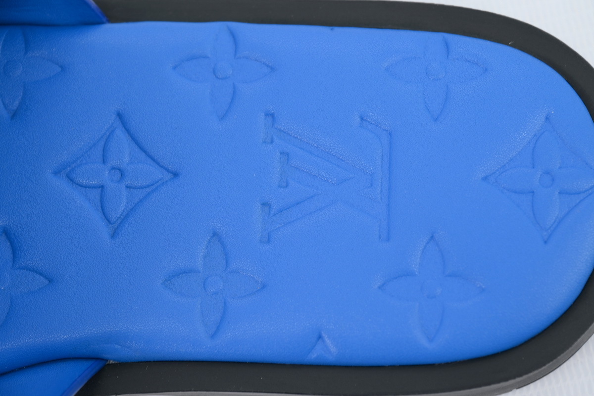 LOUIS VUITTON Oasis Blue Leather Surface