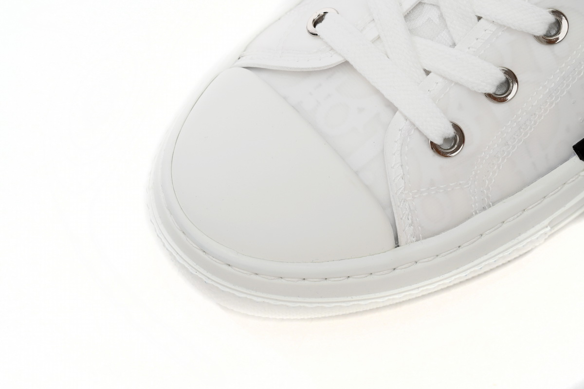 Dior B23 Low Top Oblique
