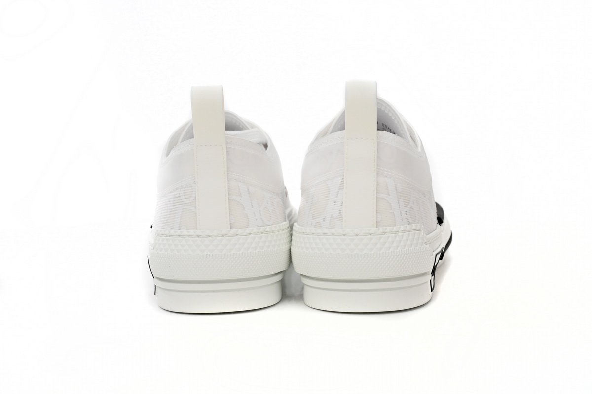 Dior B23 Low Top Oblique