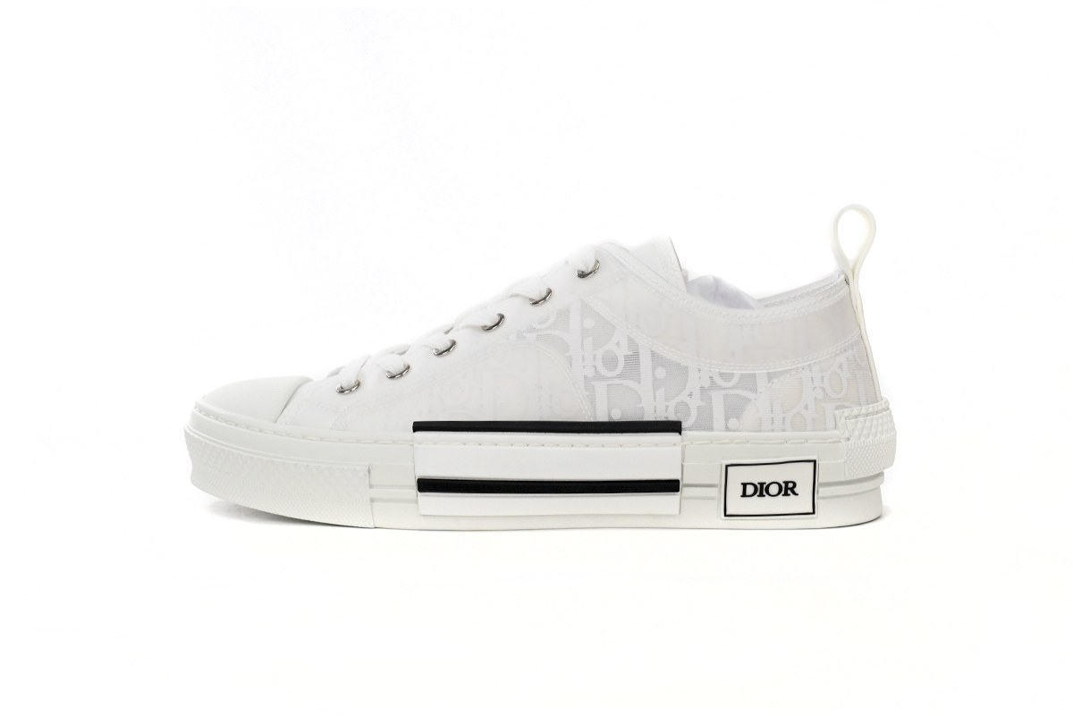 Dior B23 Low Top Oblique