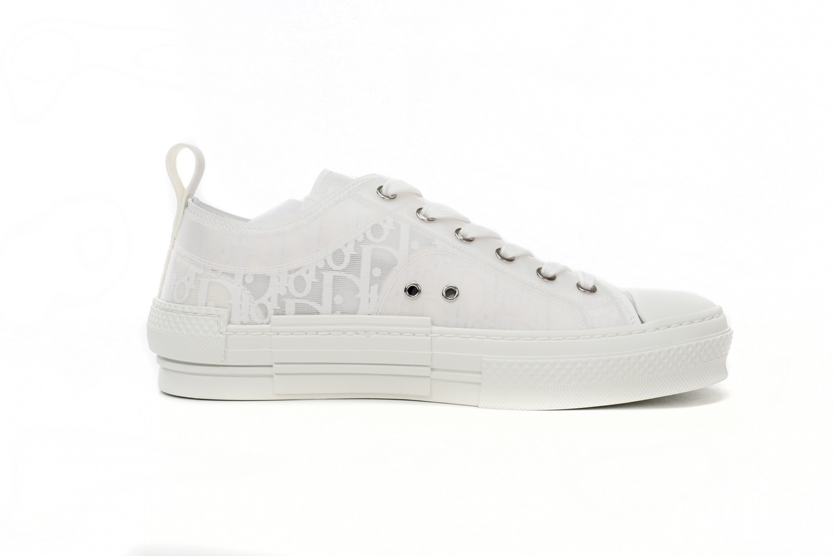 Dior B23 Low Top Oblique