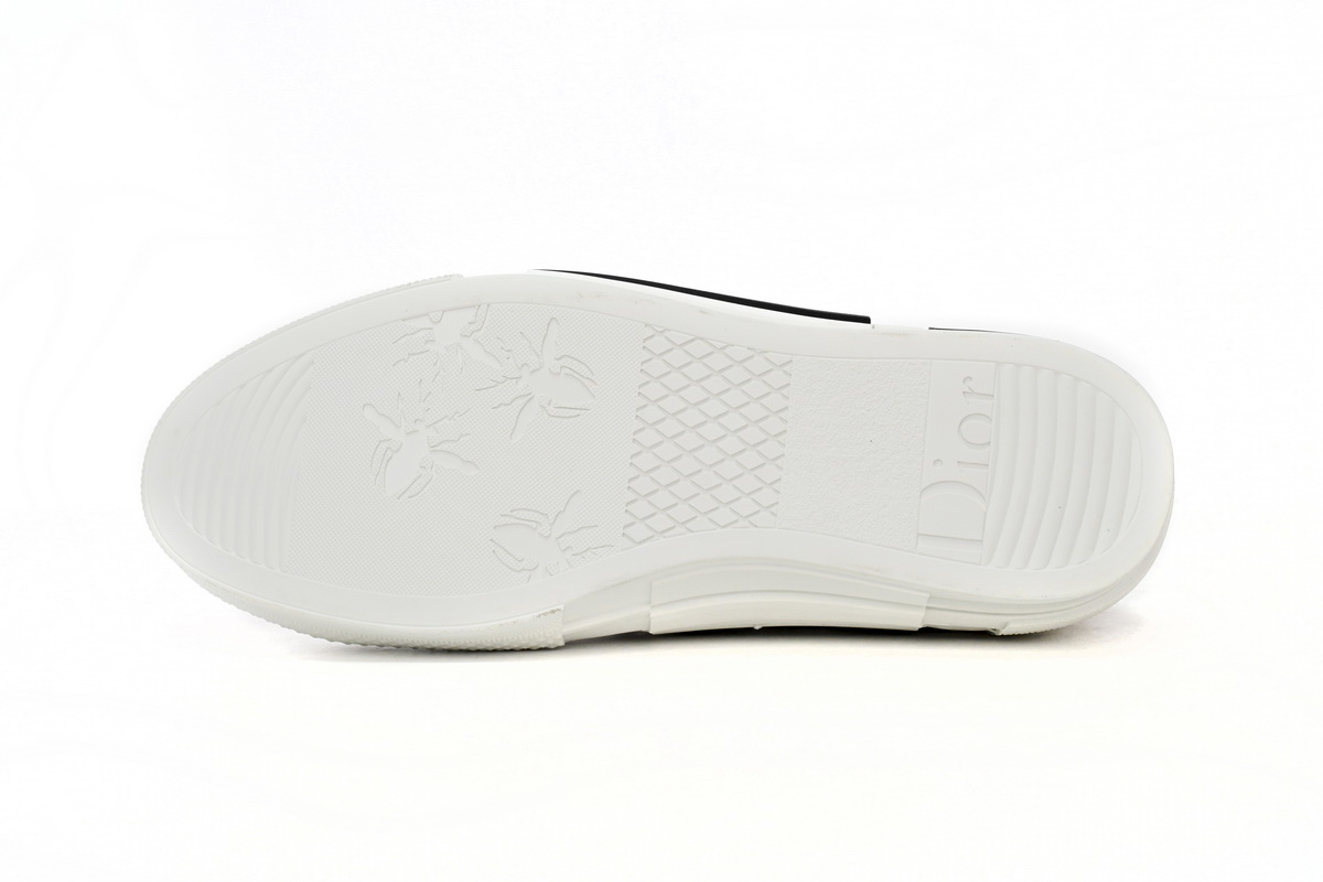 Dior B23 Low Top Oblique