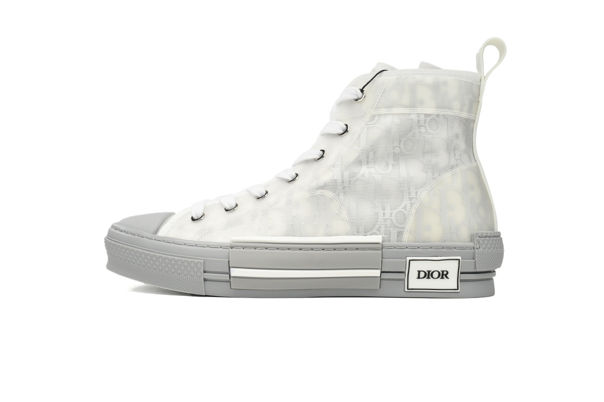 Dior B23 High Top Oblique Transparency Silver Ash