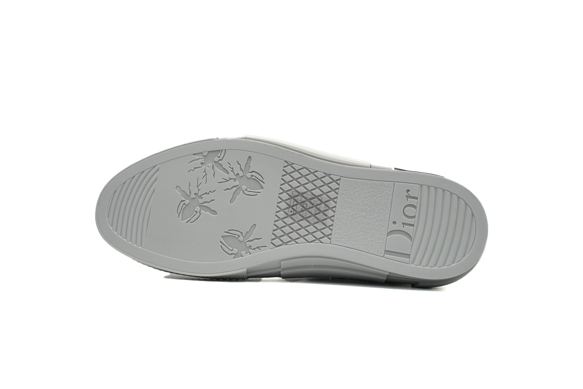 Dior B23 High Top Oblique Transparency Silver Ash
