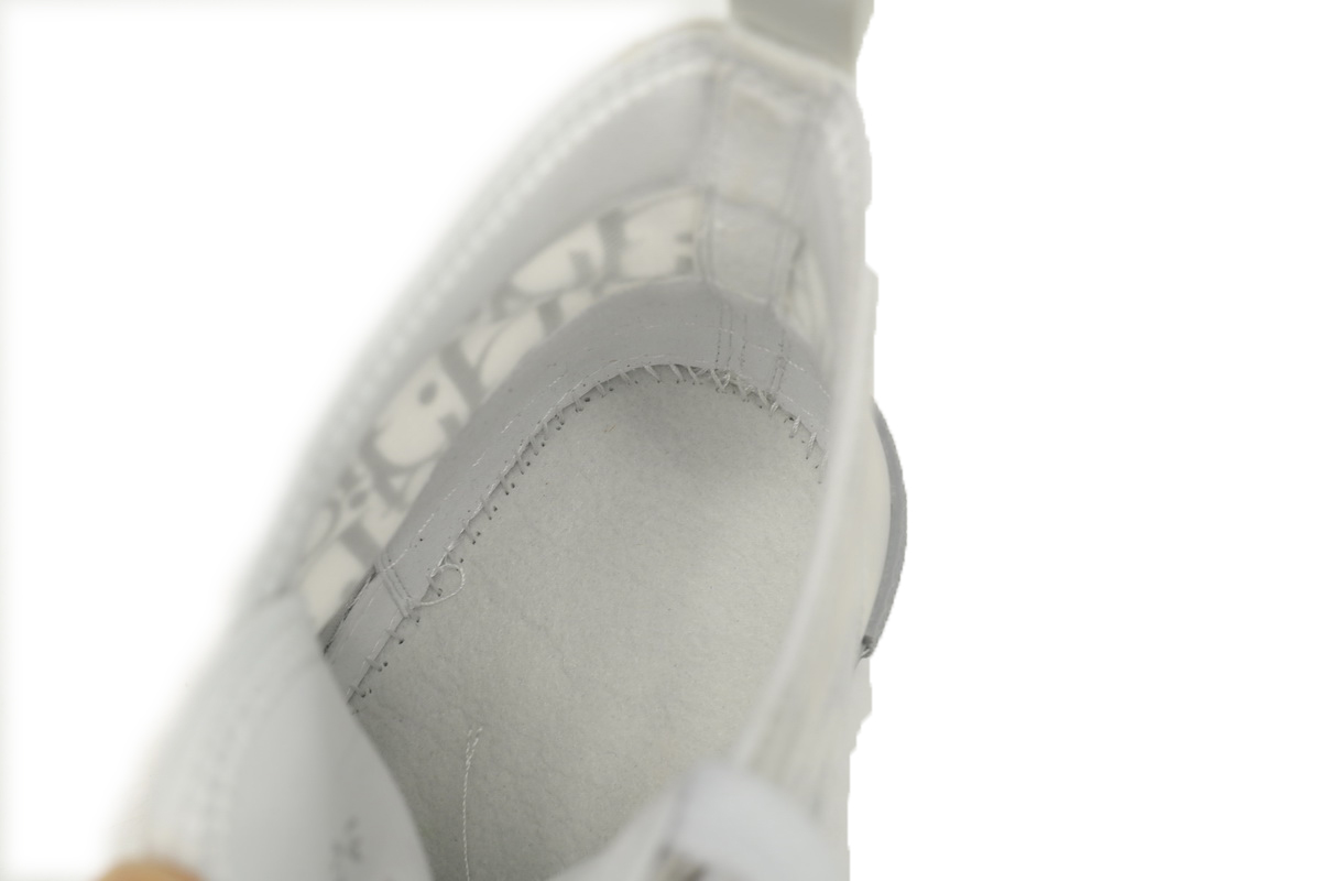 Dior B23 High Top Oblique Transparency Silver Ash