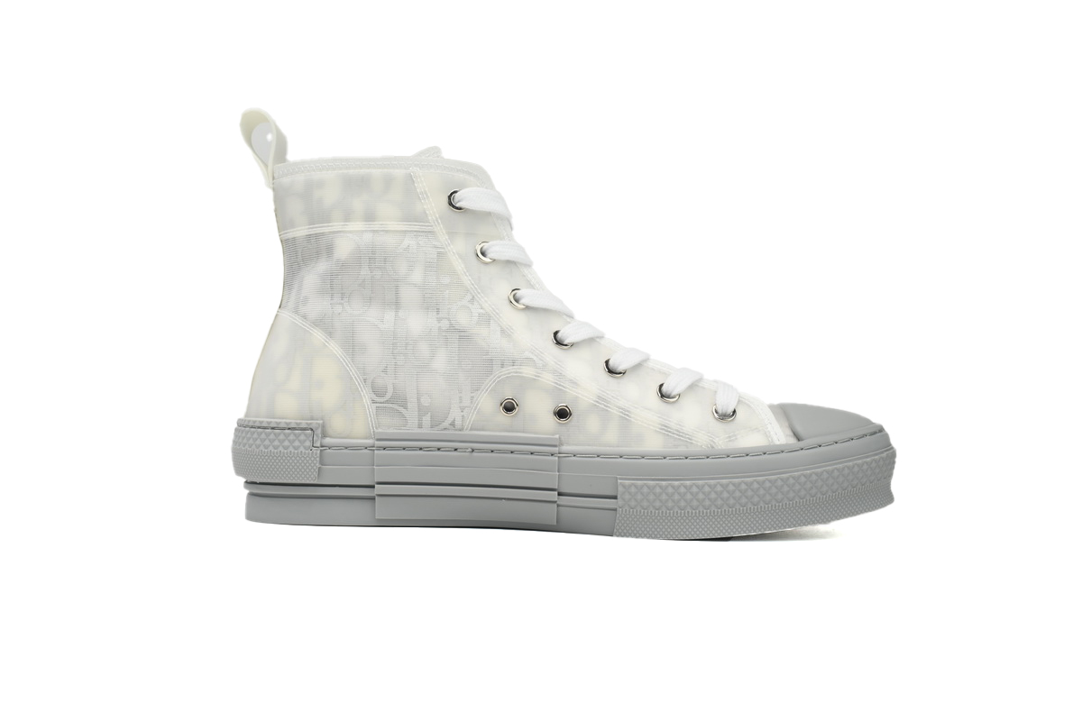Dior B23 High Top Oblique Transparency Silver Ash