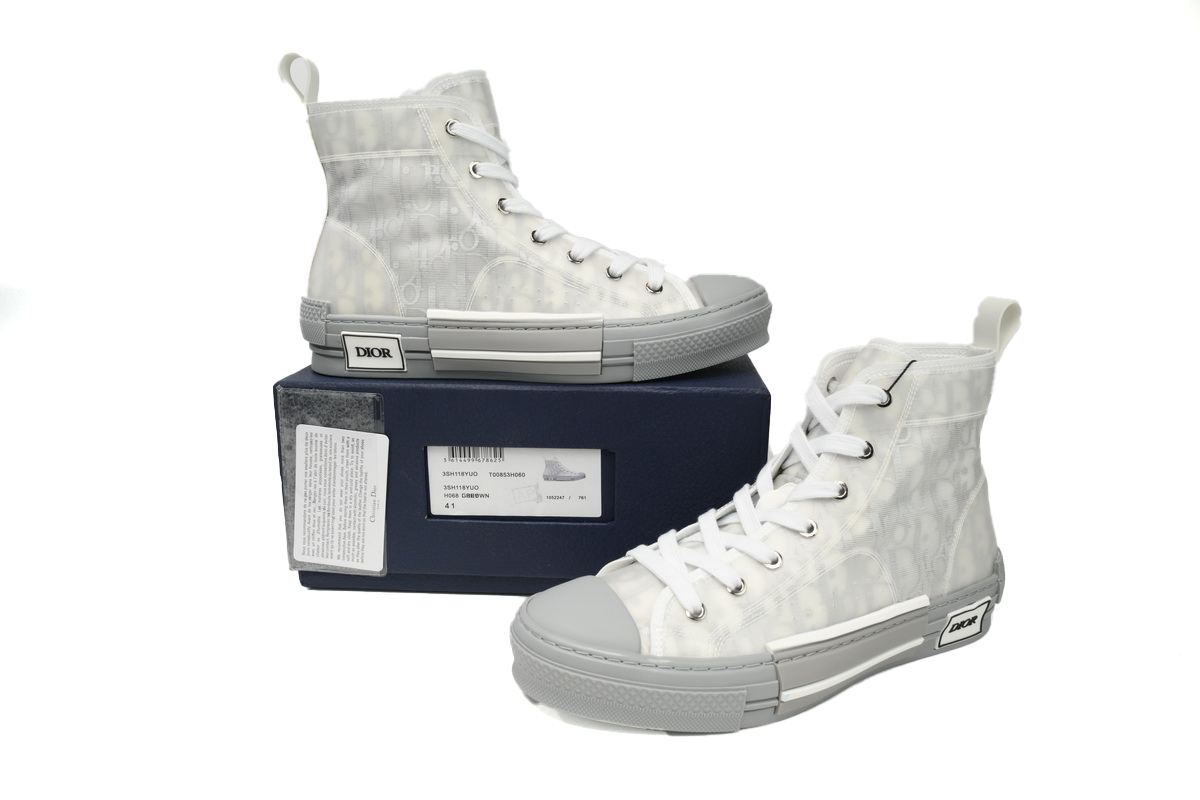 Dior B23 High Top Oblique Transparency Silver Ash