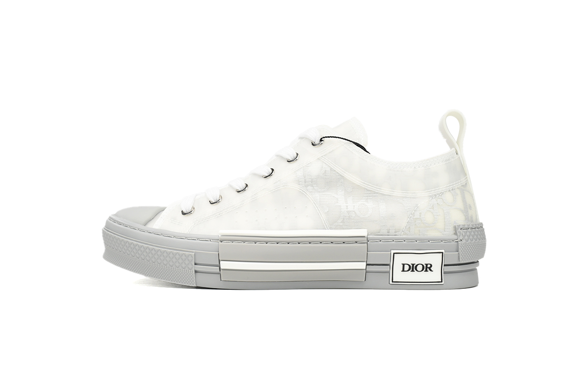 Dior B23 HT Oblique Low Rank Silver Gray 