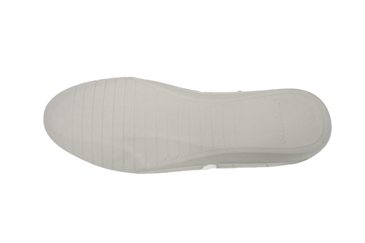 Dior B23 HT Oblique Low Top Blue Red
