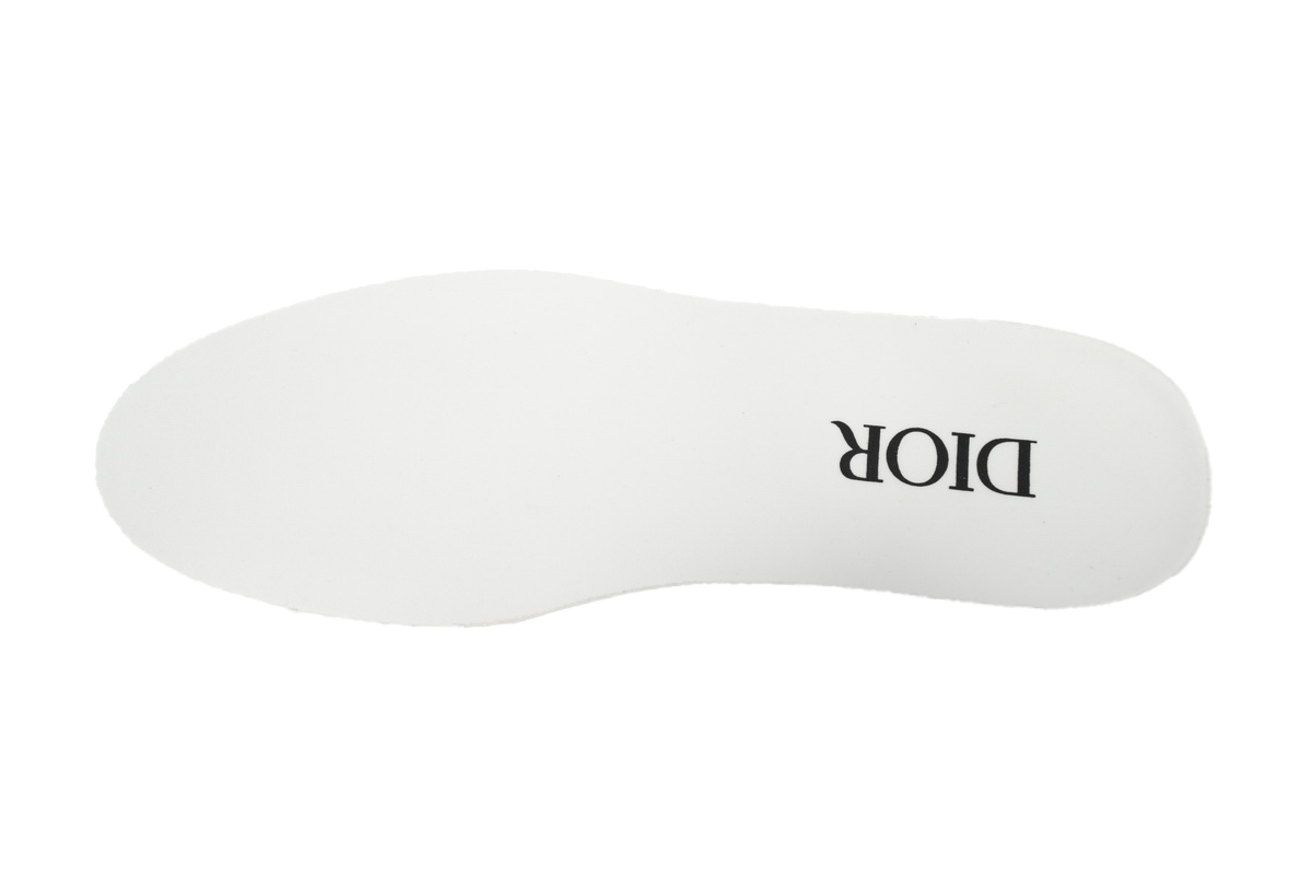 Dior B23 HT Oblique Transparency Black Co branding