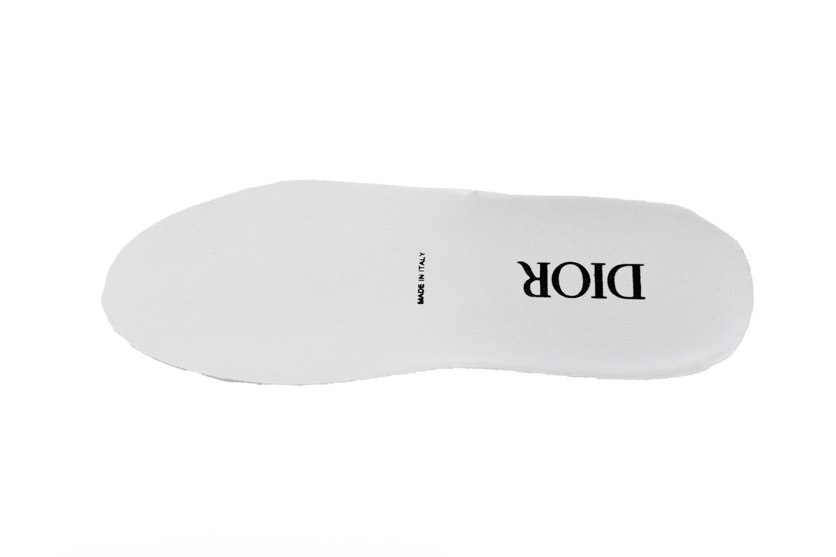 Dior B23 HT Oblique Transparency Low H565 White Black