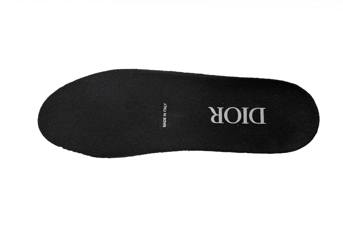 Dior B23 Oblique Transparency Low White Black