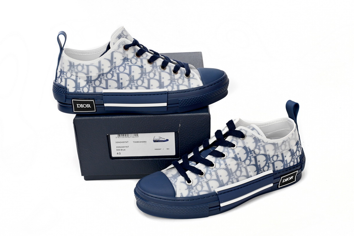 Dior B23 Oblique Transparency LOW White Blue