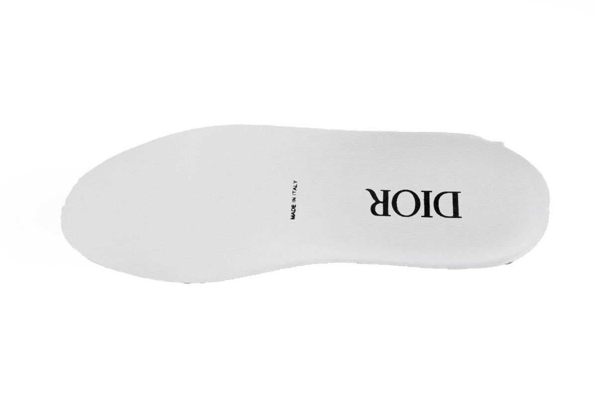 Dior B23 Oblique Transparency LOW White Blue
