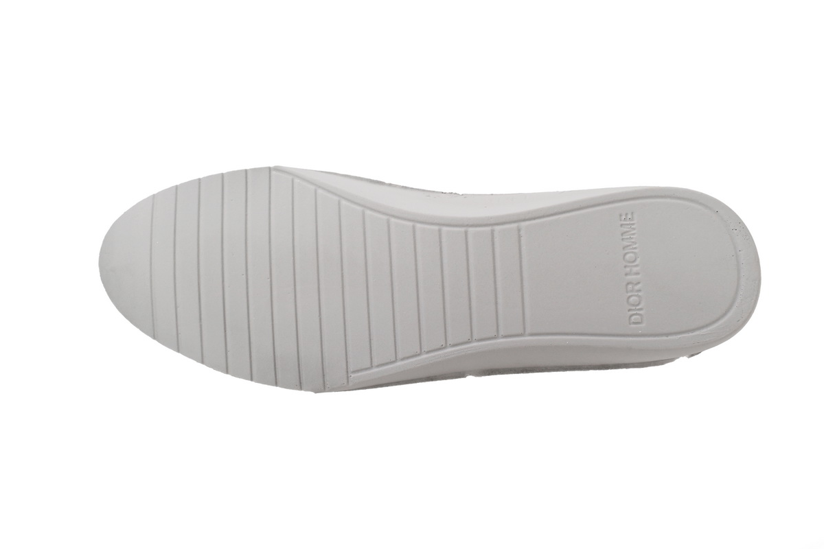 Dior B23 Oblique Transparency LOW White Blue