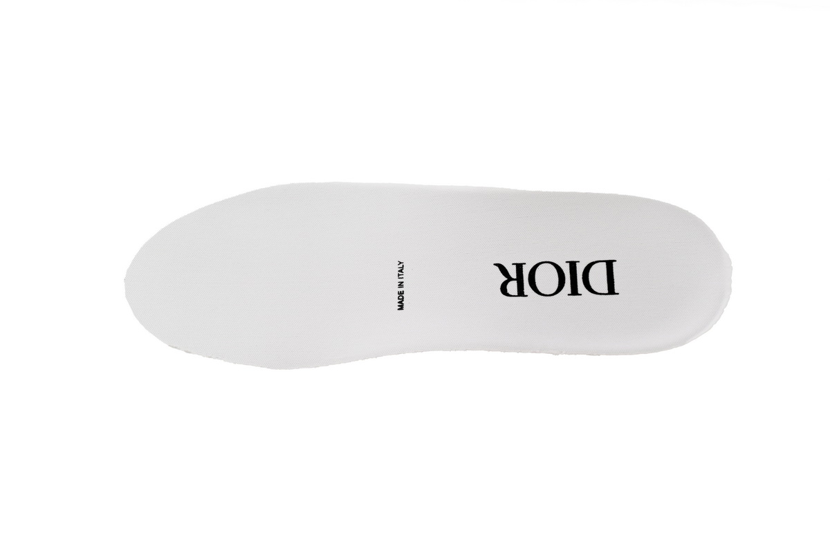 Dior Low Top Newspaper White 3SN249YUO H069