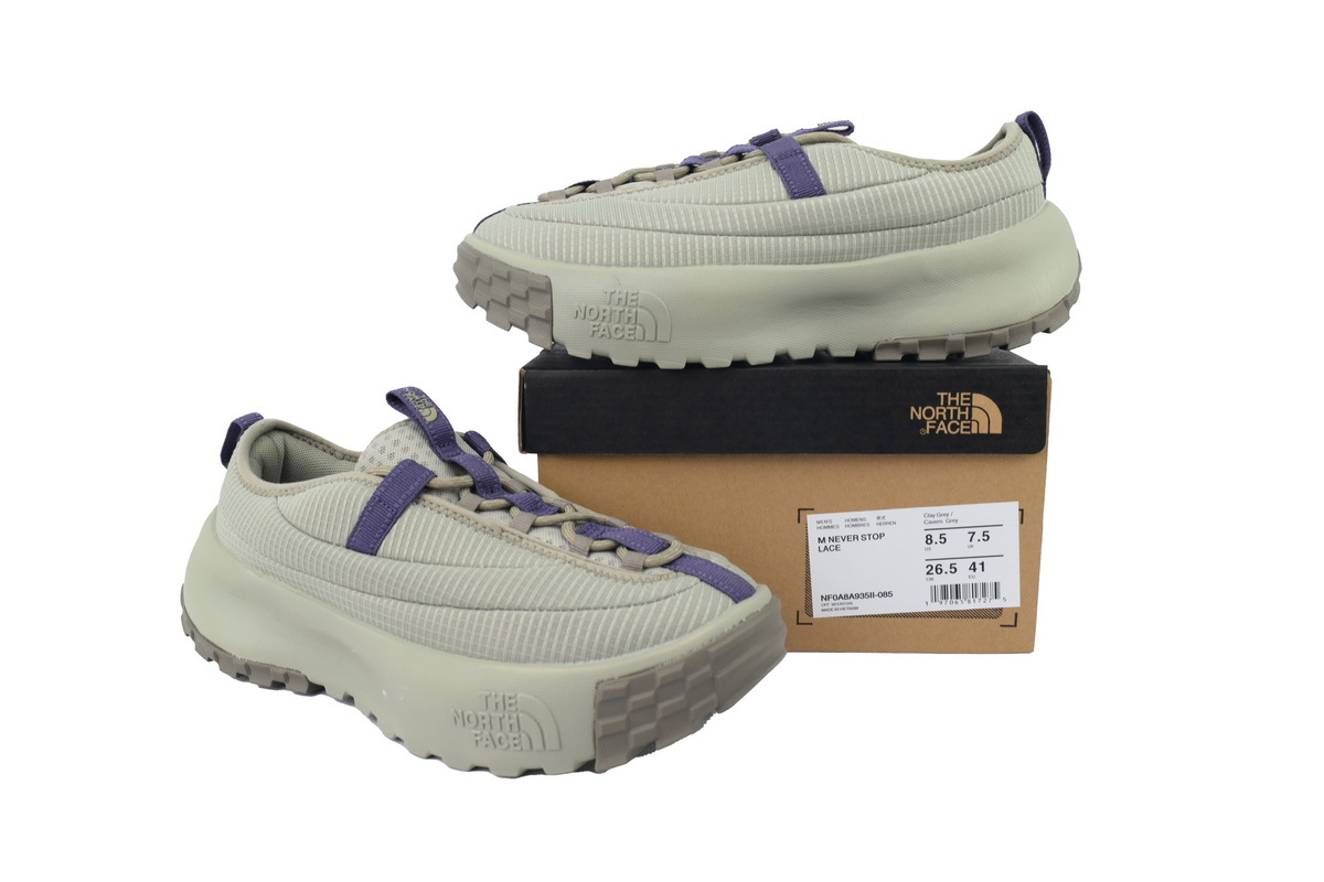 THE NORTH FACE NEVER STOP Grey Purple NF0A8A93-5II