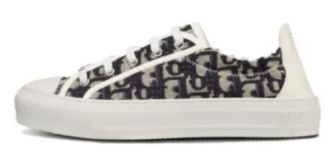 Dior Oblique Black Embroidered