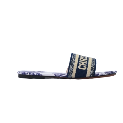 Dior Slippers Embroidered Printed Blue 02
