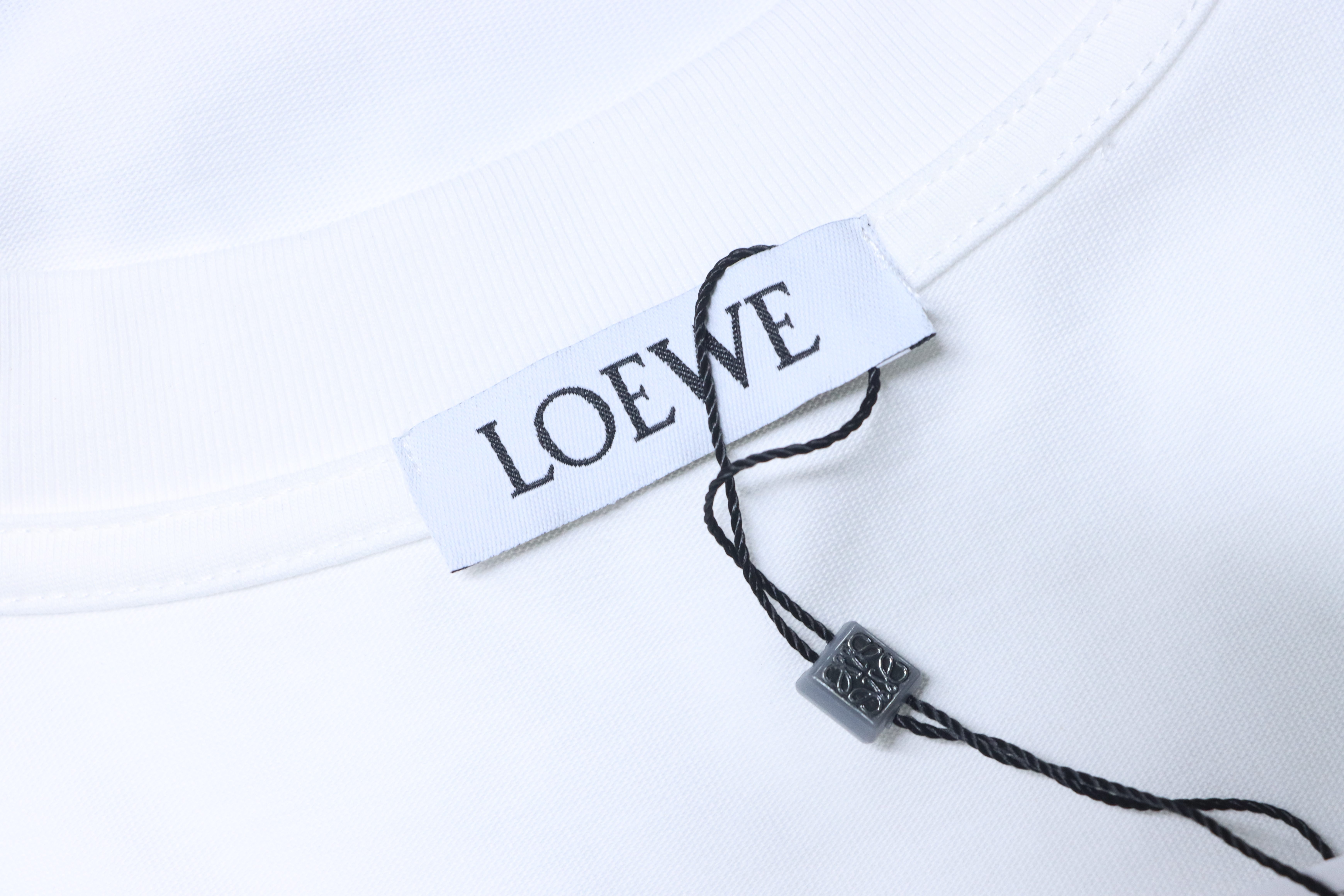 Loewe 25SS Wave Dragon Print White Tee Blue Logo Elements
