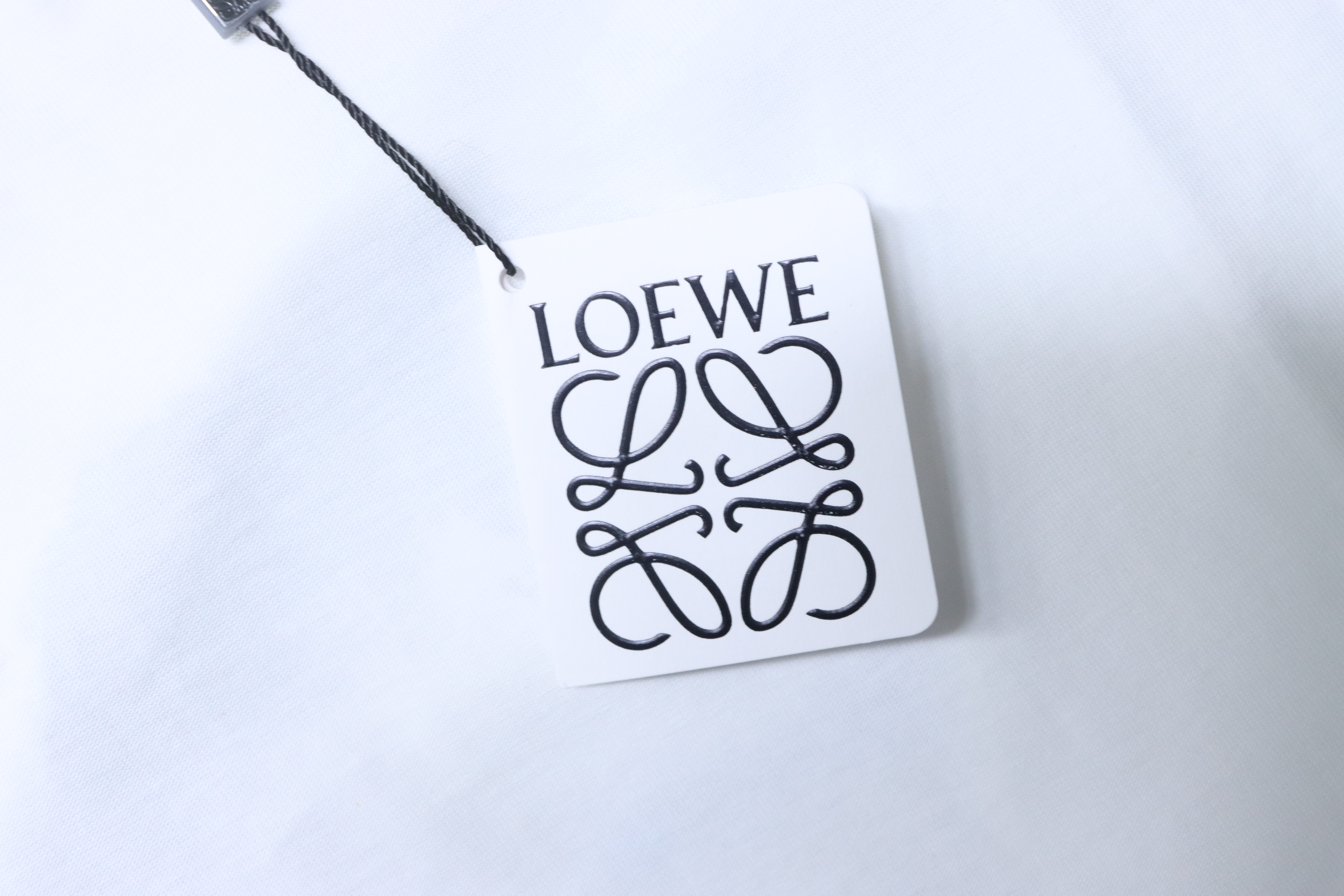 Loewe 25SS Wave Dragon Print White Tee Blue Logo Elements