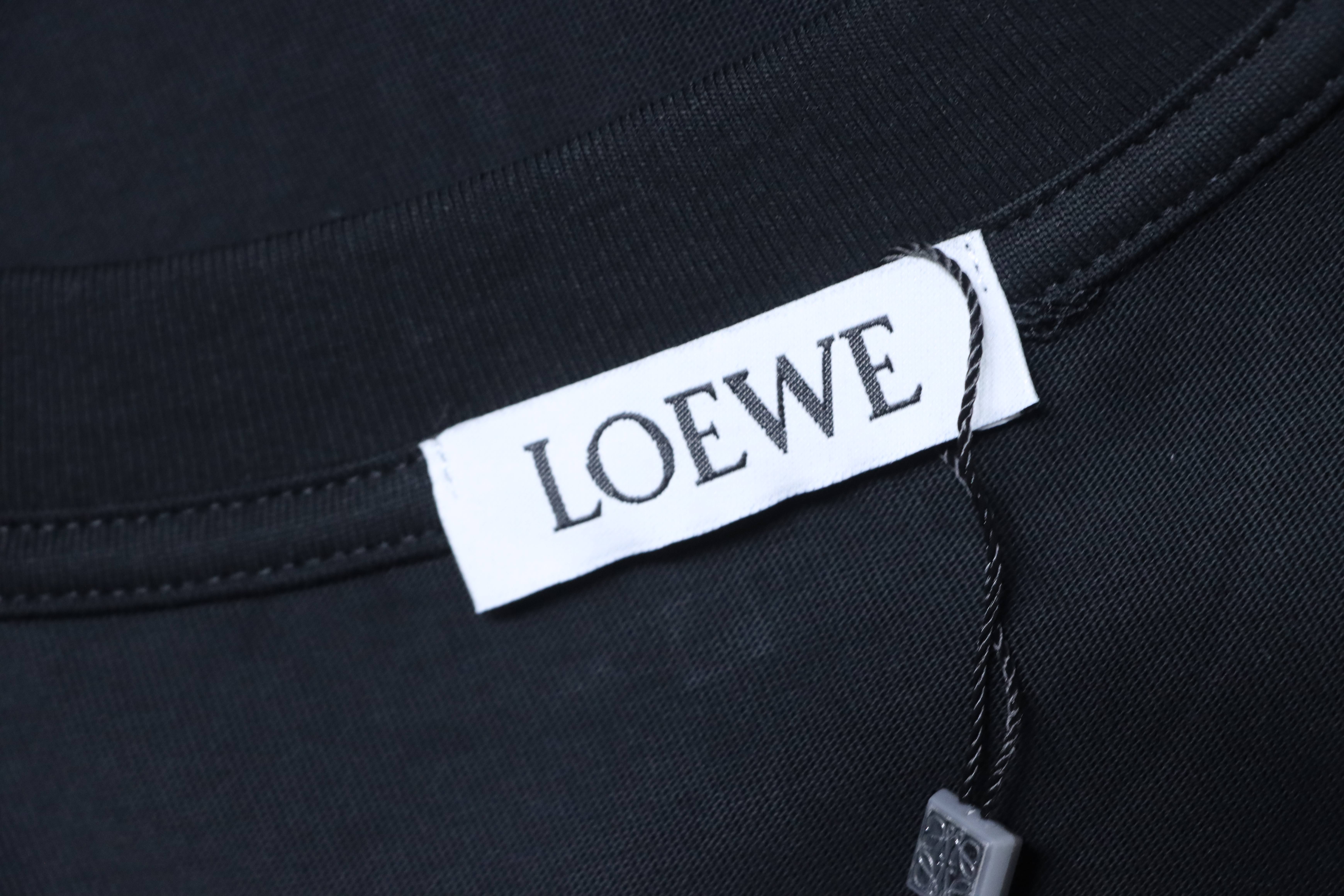 Loewe 25SS Wave Dragon Print Black Tee Blue Logo Elements