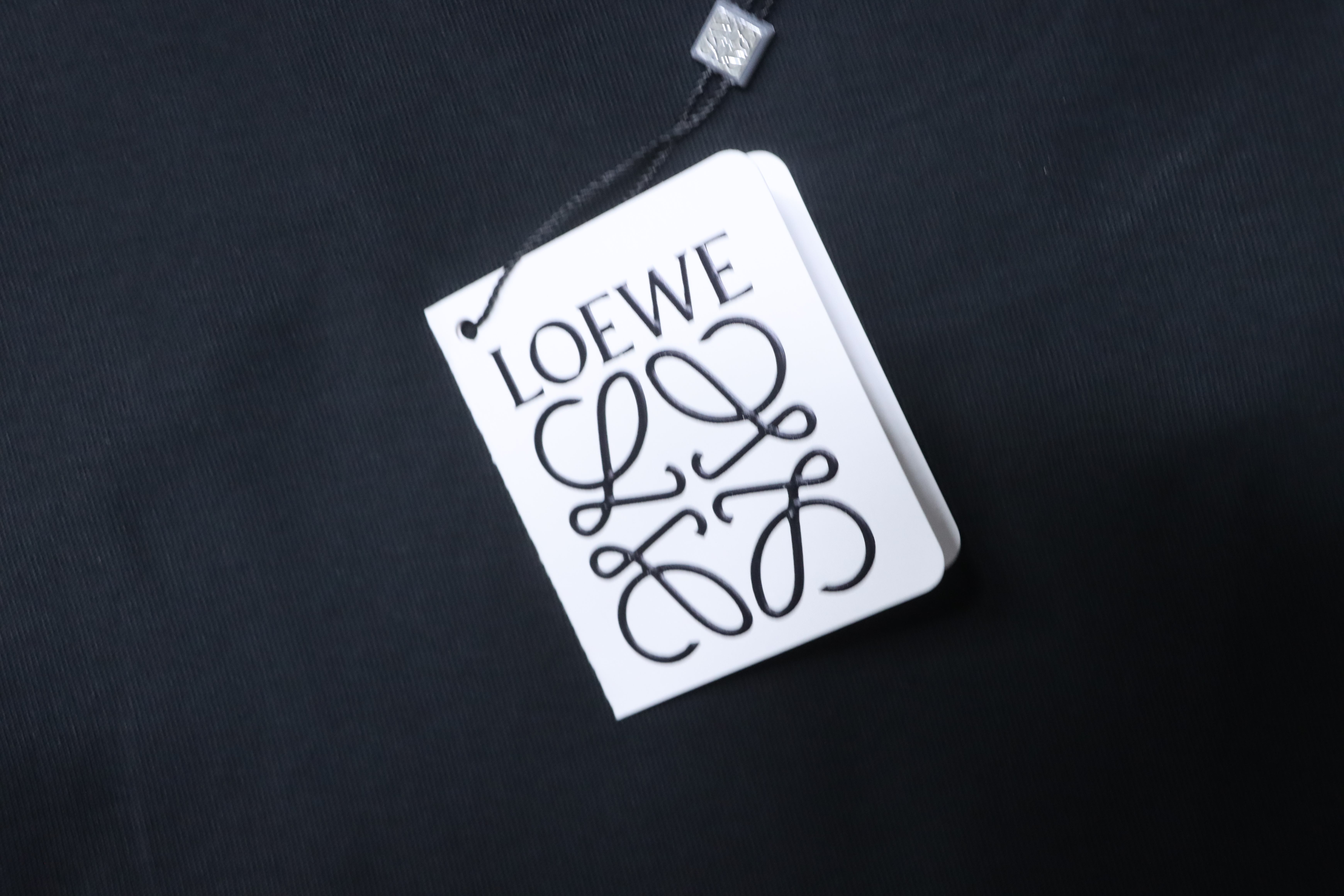 Loewe 25SS Wave Dragon Print Black Tee Blue Logo Elements