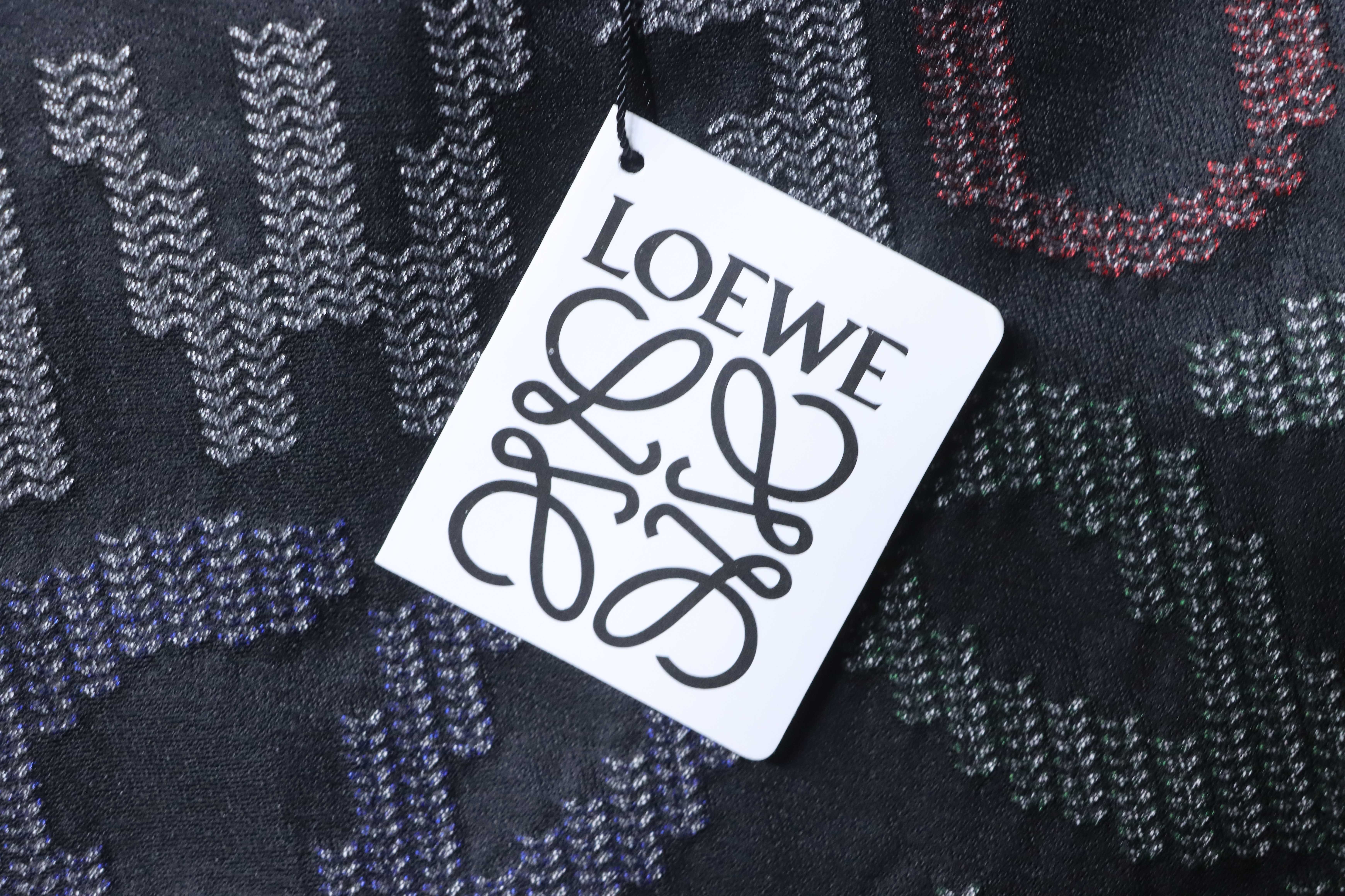 Loewe 26SS Color Logo Embroidery Black Tee Front Back Logo