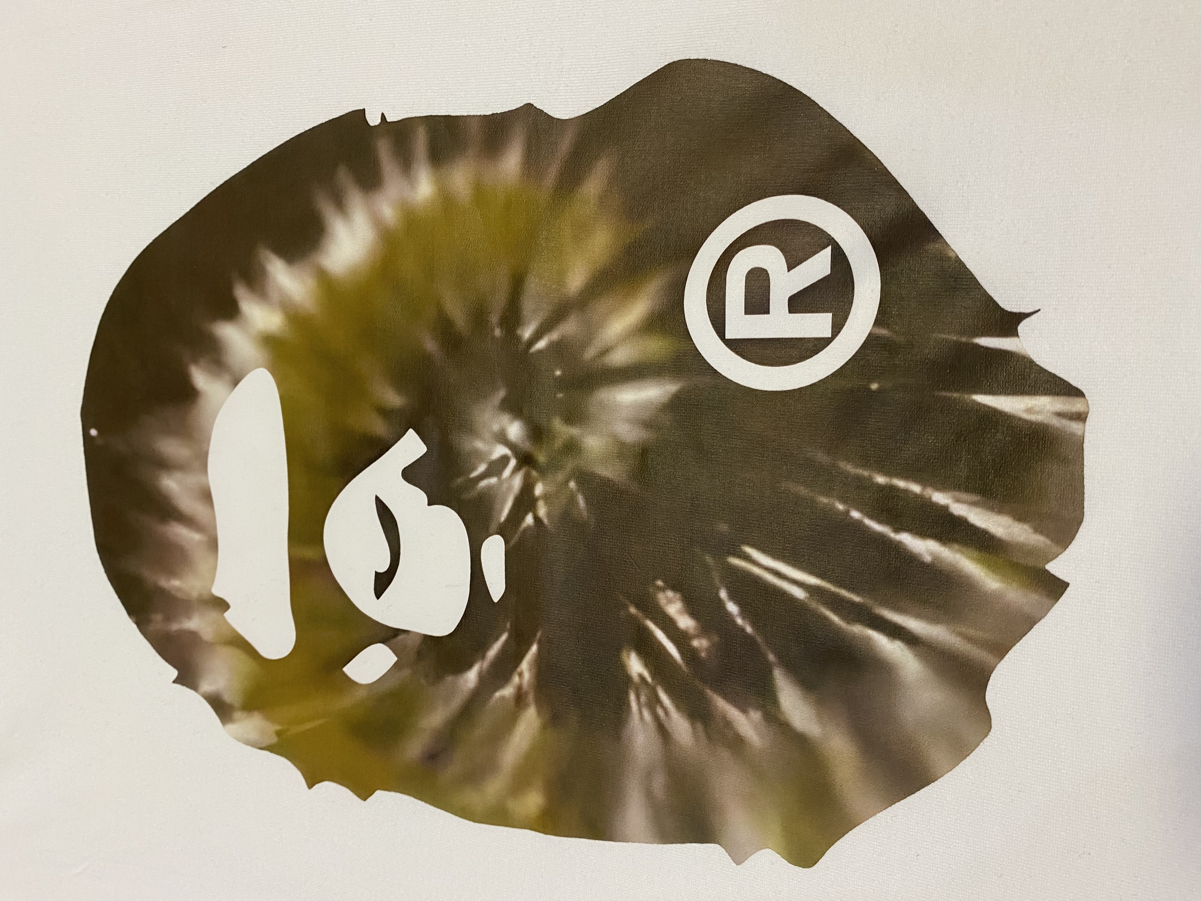 BAPE Shirt 108