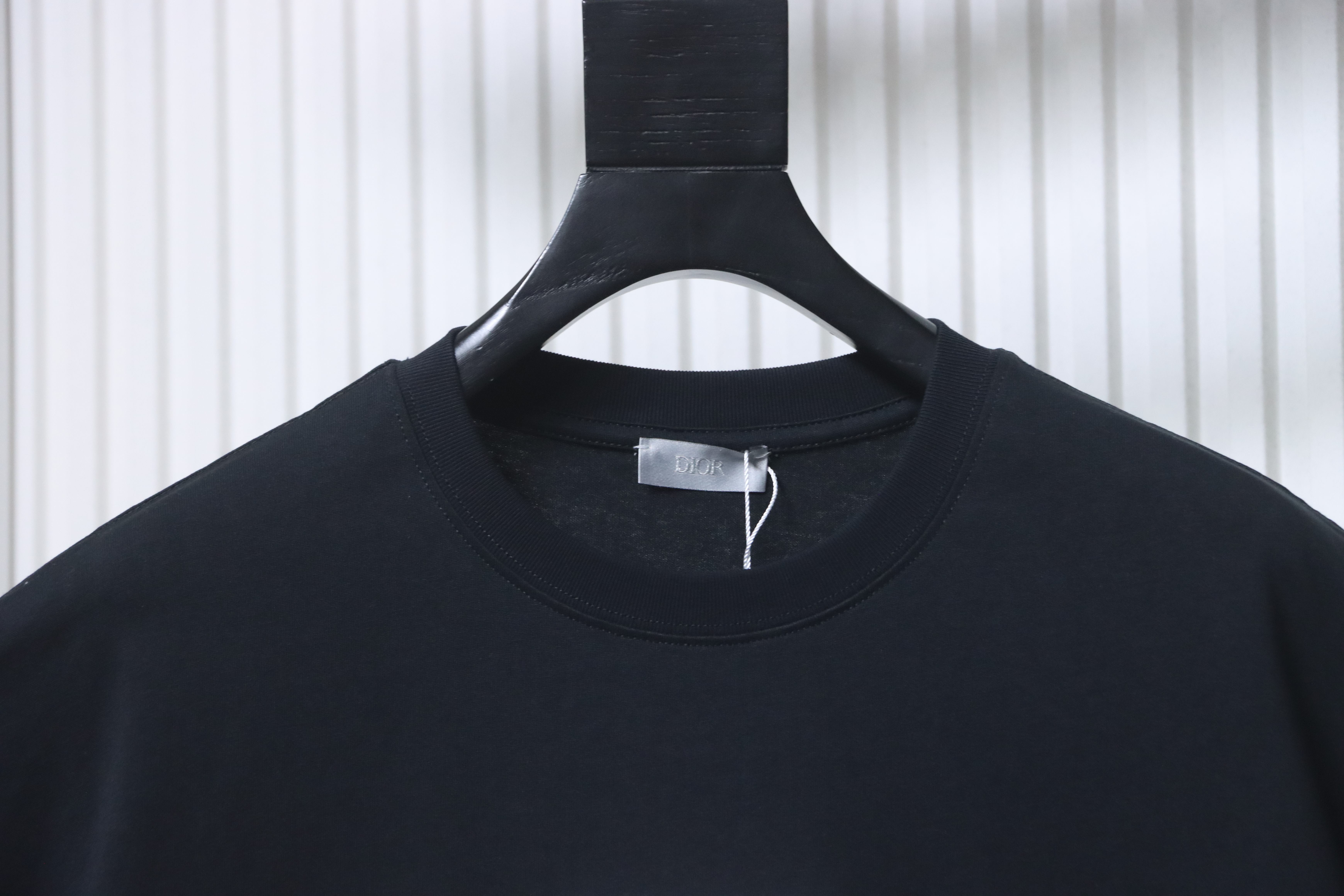 Dior 23SS Embroidered Silver Logo Short Sleeve T-Shirt