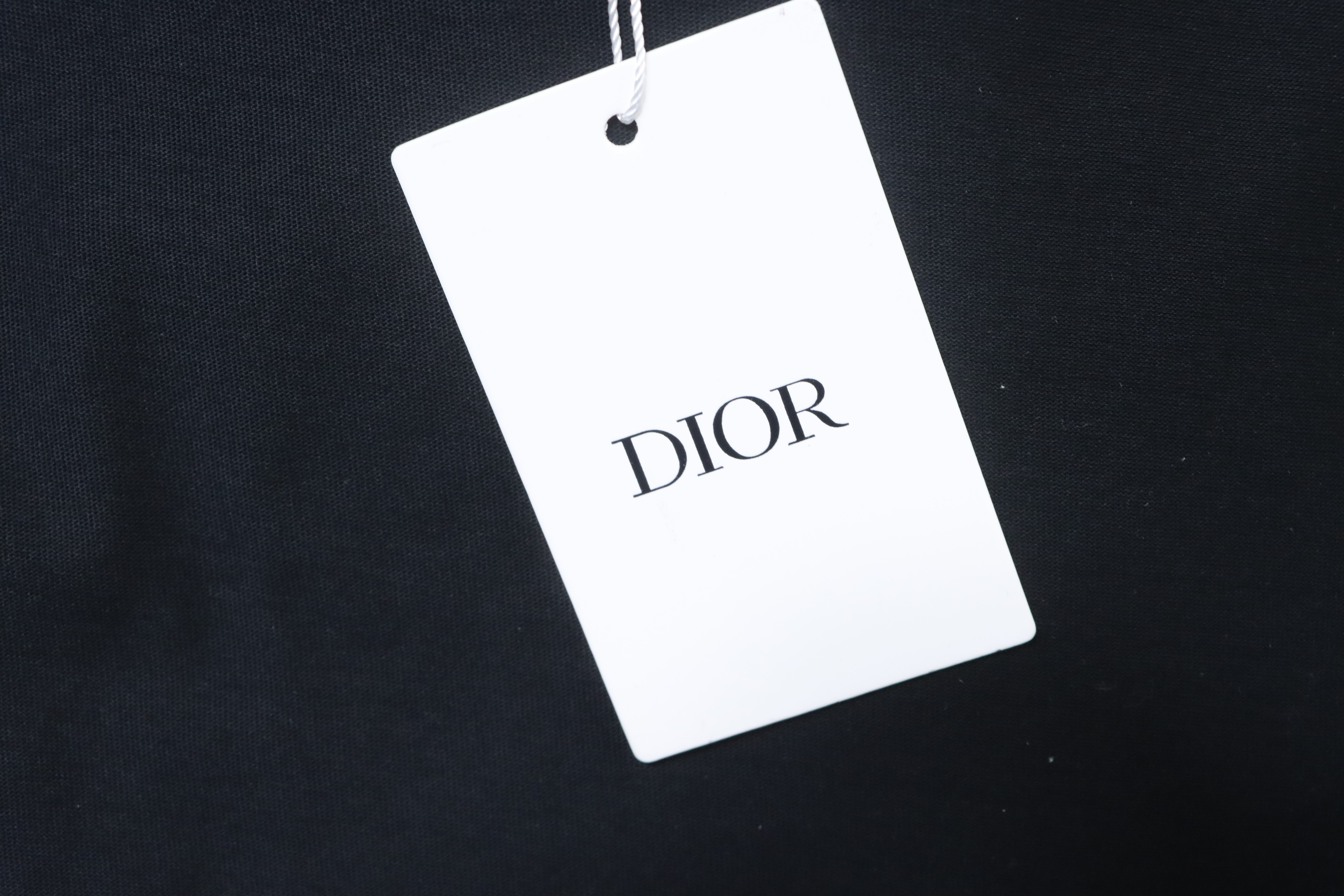 Dior 23SS Embroidered Silver Logo Short Sleeve T-Shirt