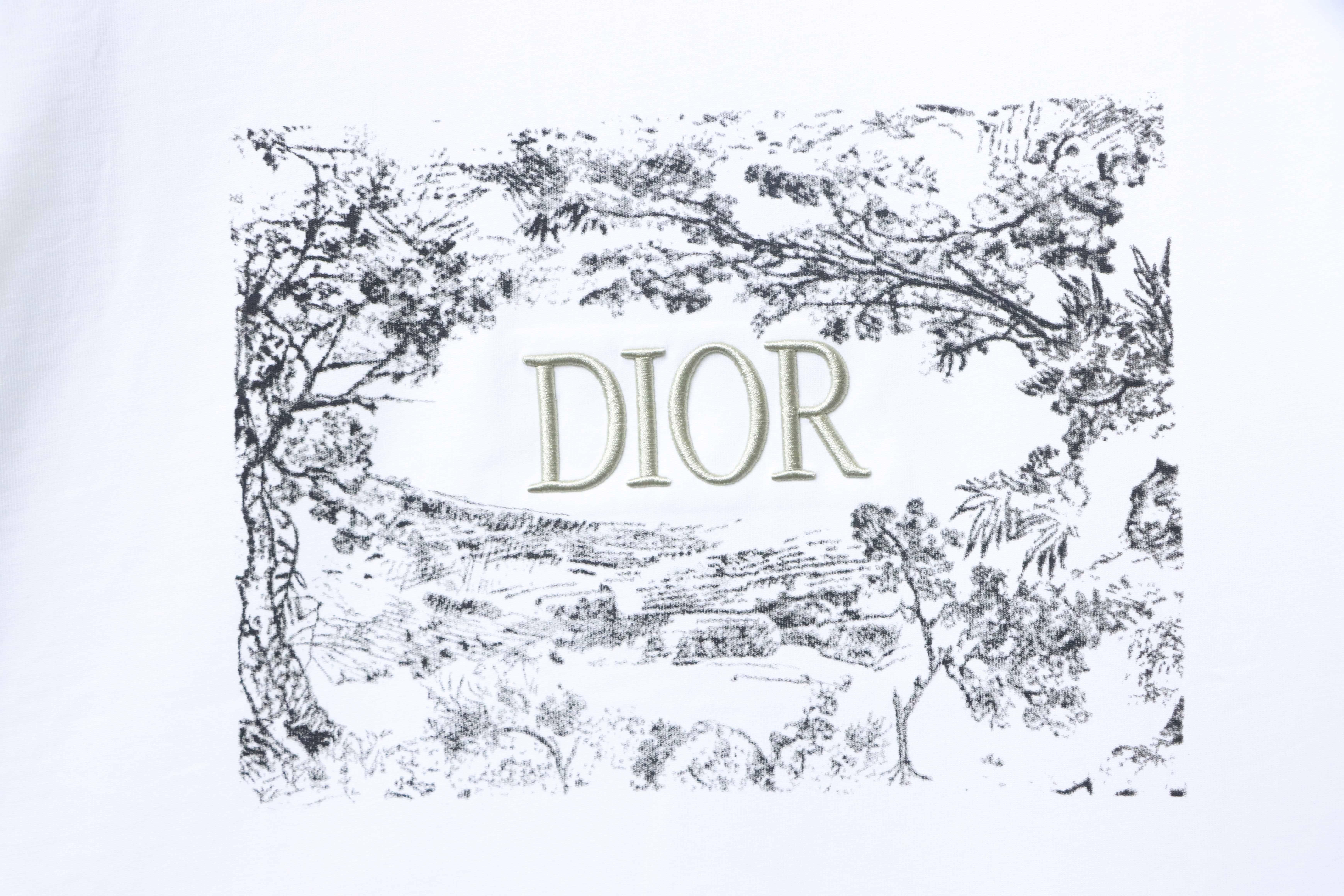 DIOR 25SS Chest Floral Puff Letter Logo Short Sleeve T-Shirt