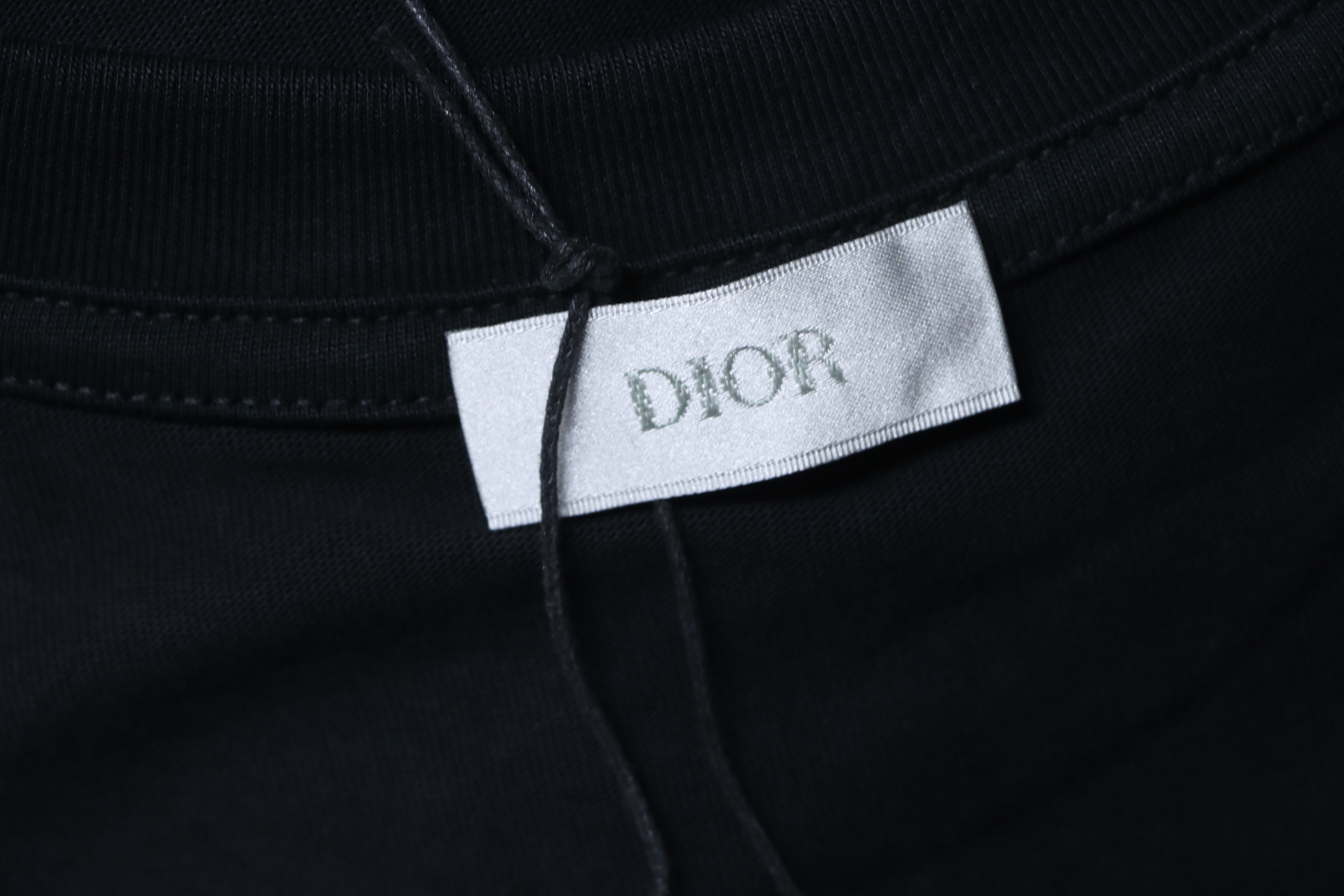 DIOR 25SS Chest Floral Puff Letter Logo Short Sleeve T-Shirt